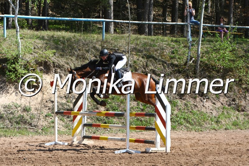 204M8086_Lady Gaga_Springpferde_A.JPG